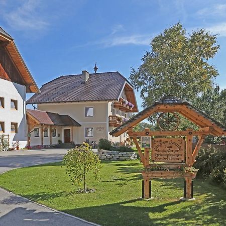 Ulnhof Appartement Mariapfarr Buitenkant foto